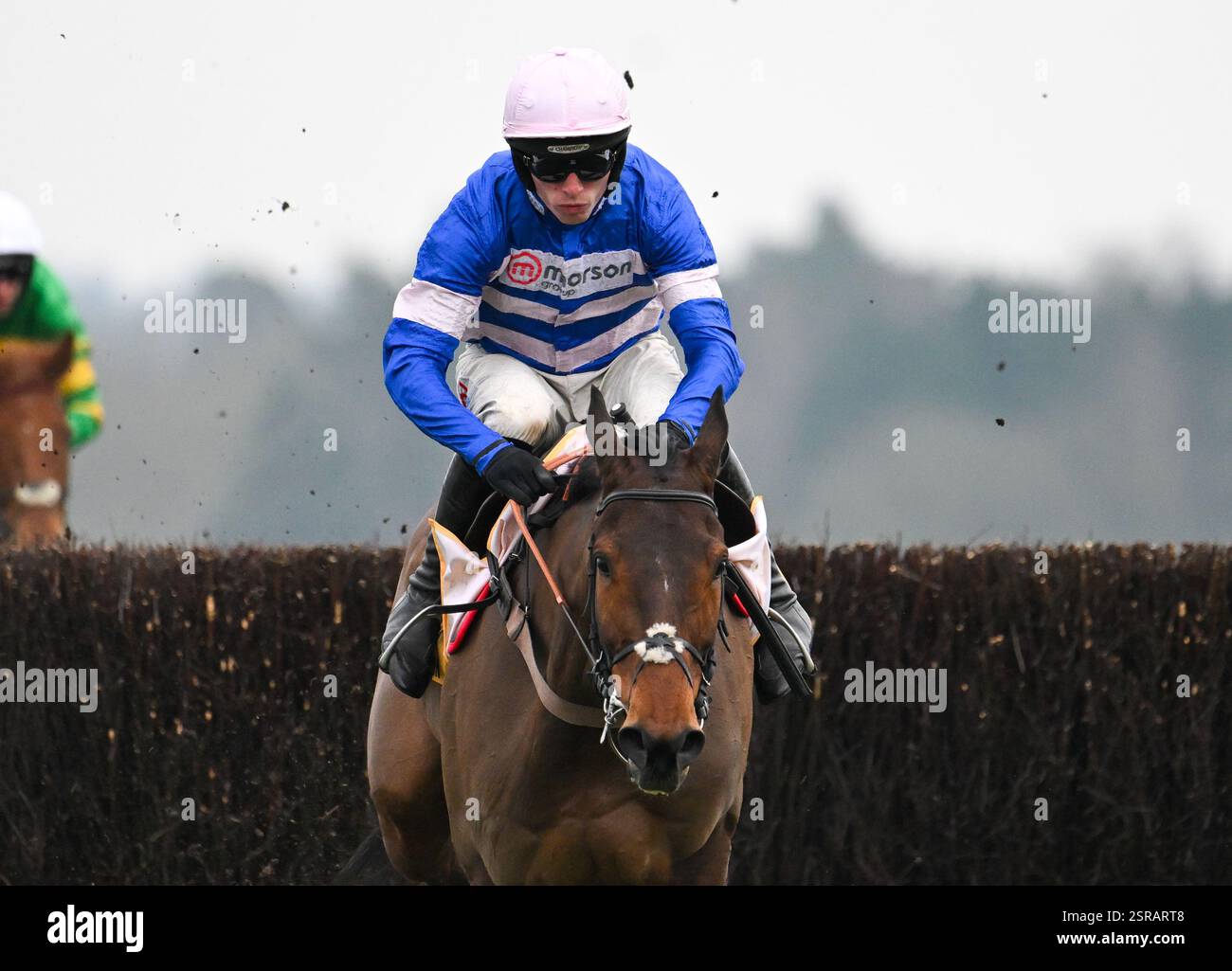 Ascot Racecourse, Berkshire, England. 15. Februar 2025. PIC D'Orhy Ridden by Harry Cobden gewinnt den Betfair Ascot Chase während des Betfair Ascot Chase Raceday. Quelle: Nigel Bramley Stockfoto