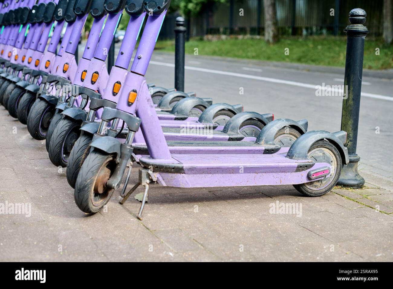 Zahlreiche violette Elektroroller, die ordentlich auf dem Bürgersteig in der Nähe der Straße ausgerichtet sind. Tageslicht sorgt für klare Sicht. Hintergrund der Baumlinie Stockfoto