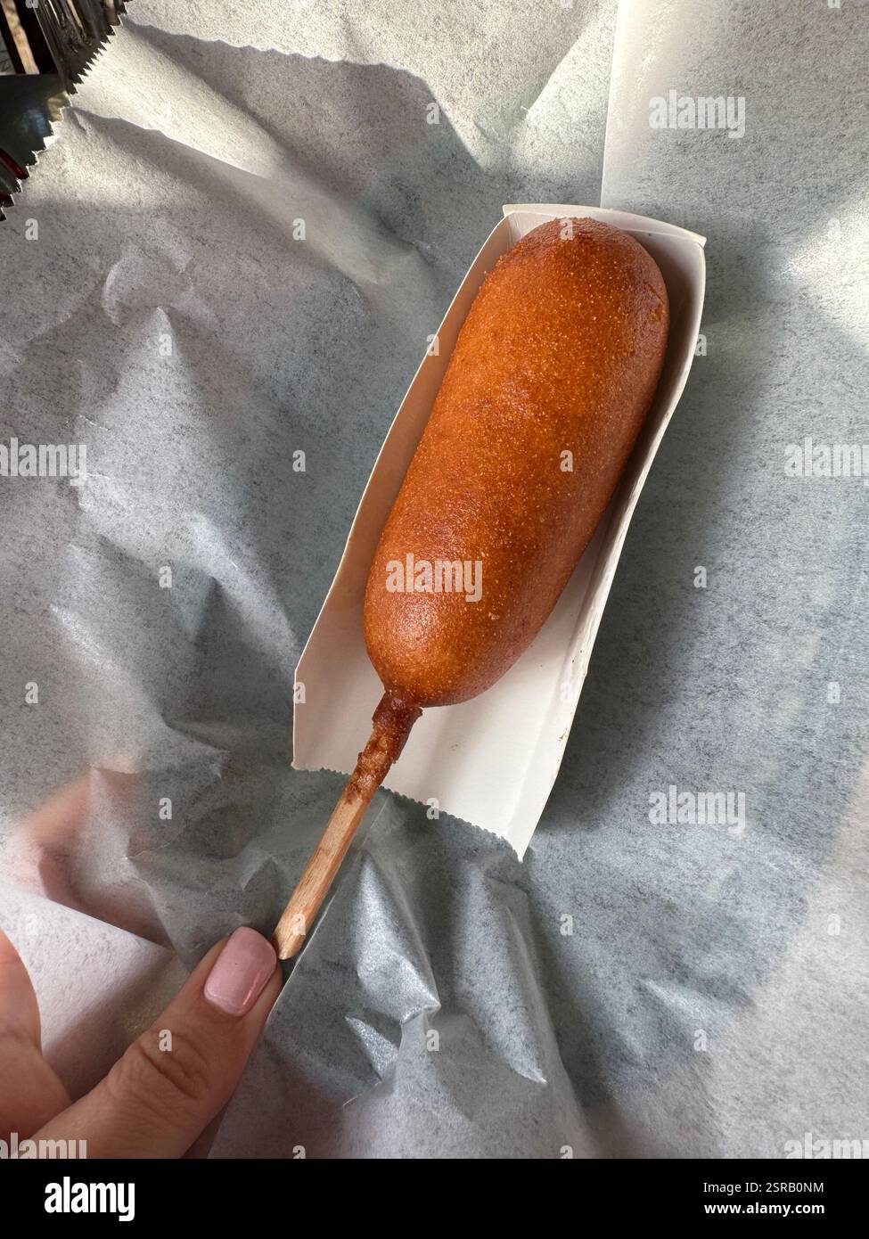 Ein frisch gebratener Maishund sitzt auf einem mit Backpapier ausgelegten Teller, der von einer Frauenhand gehalten wird. - Smartphone-aufgenommenes Stockfoto