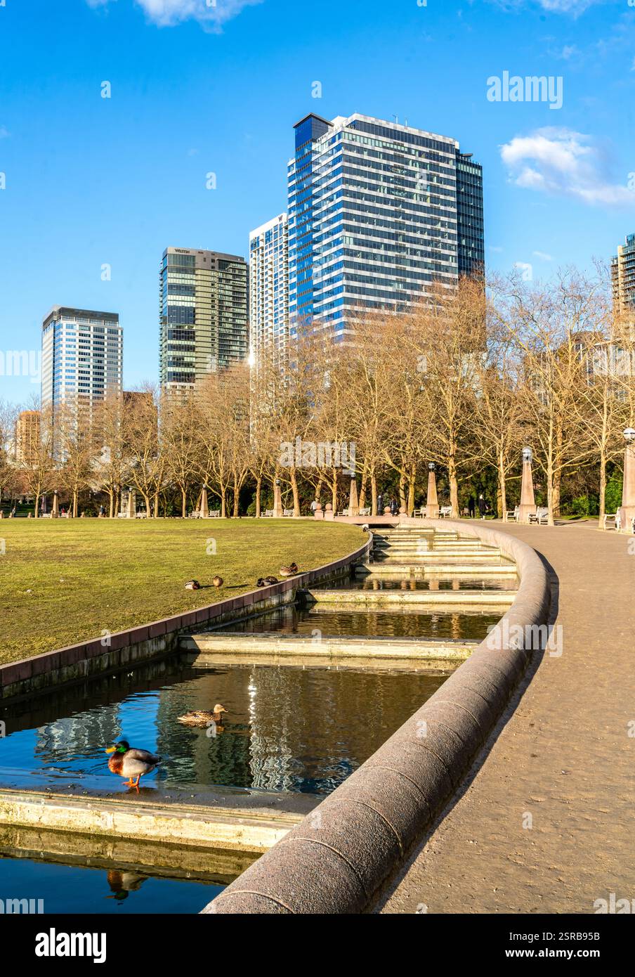 Blick auf einen Wassergraben rund um den Bellevue City Park in Bellevue, Washington. Stockfoto