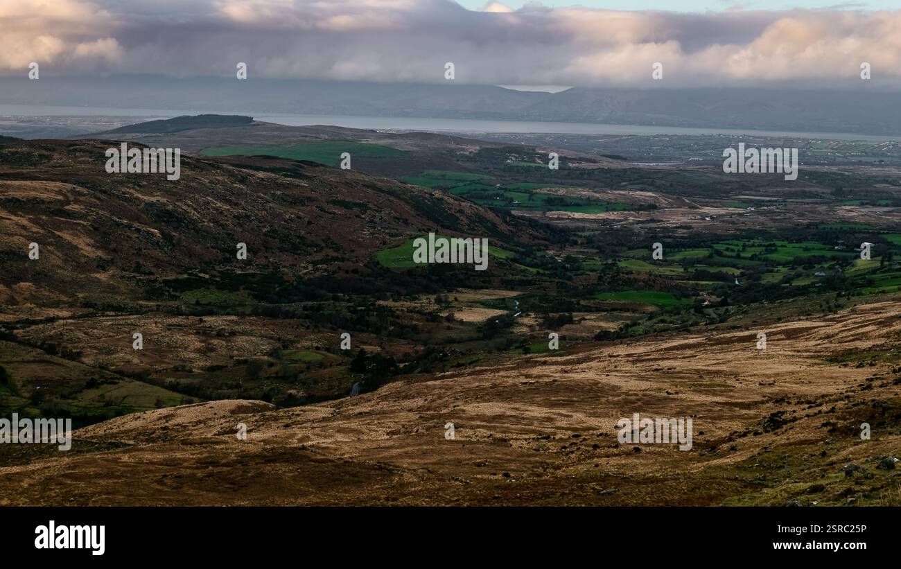 Üppig grüne Täler erstrecken sich unter einem bewölkten Himmel auf dem Land. Die fernen Berge verleihen der ruhigen Landschaft Tiefe, wenn sich die Dämmerung nähert Stockfoto