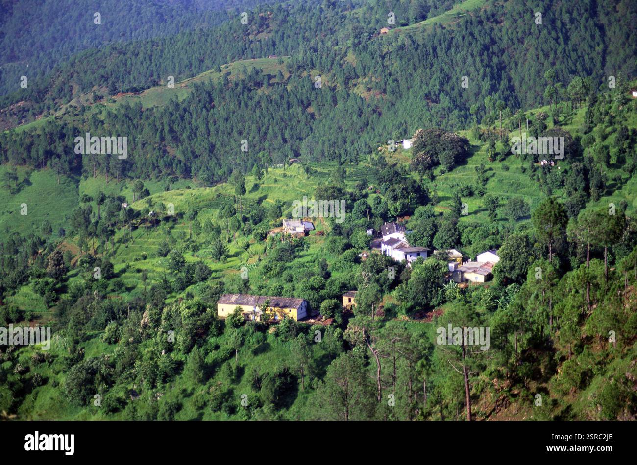 Himalaya-Dorf, Kausani, Uttaranchal Uttarakhand, Indien, Asien Stockfoto