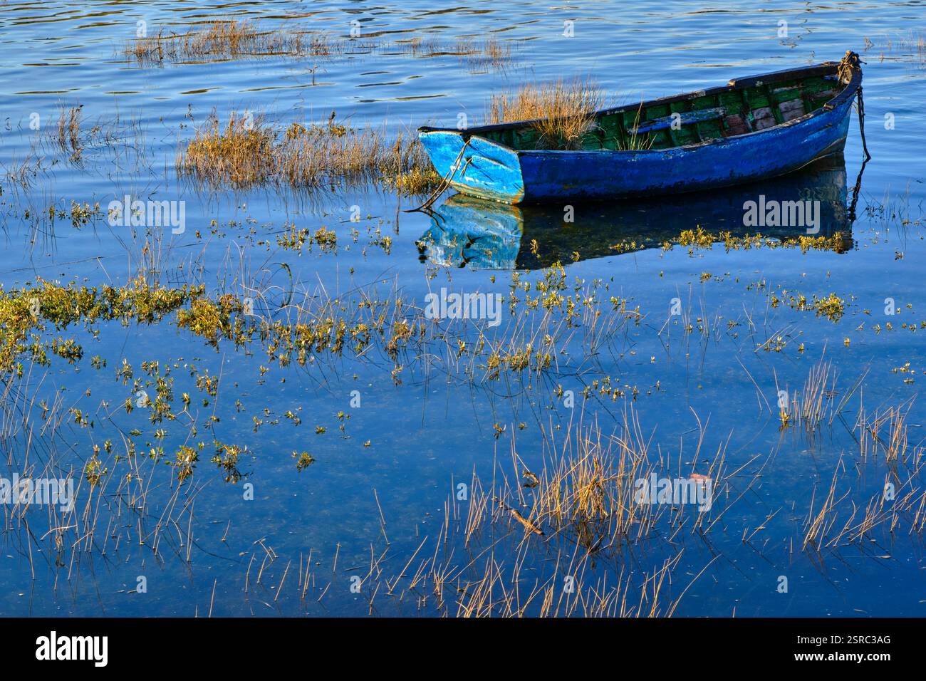Einsames blaues Ruderboot ruht zwischen Schilf in ruhigen Feuchtgewässern. Colindres, kantabrien, spanien Stockfoto