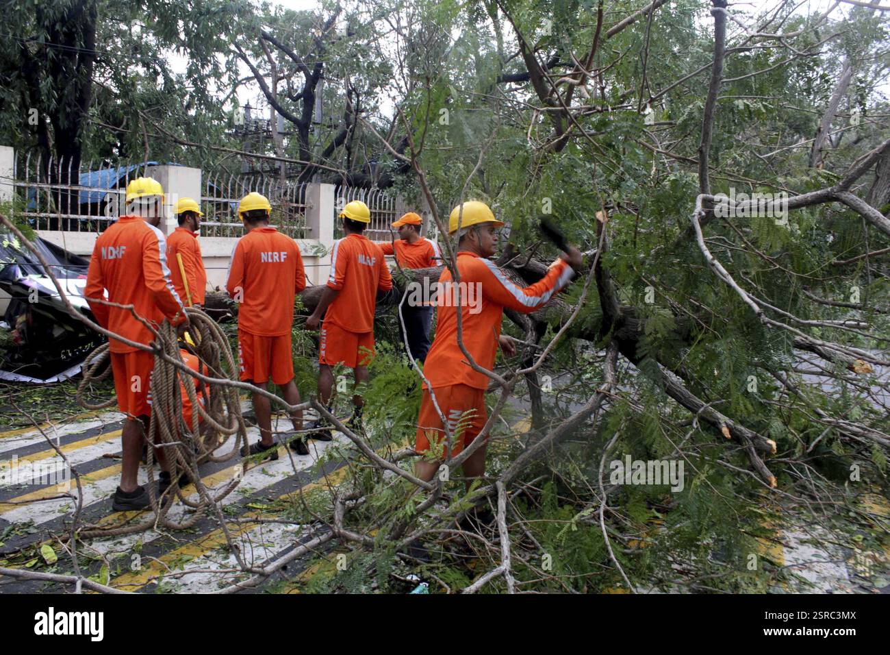 Mitglieder des Disaster Response Kraft (Schwund) Entfernen von Bäumen, die auf dem Weg der Zyklon Vardah, kam liegen entwurzelten in Chennai Stockfoto