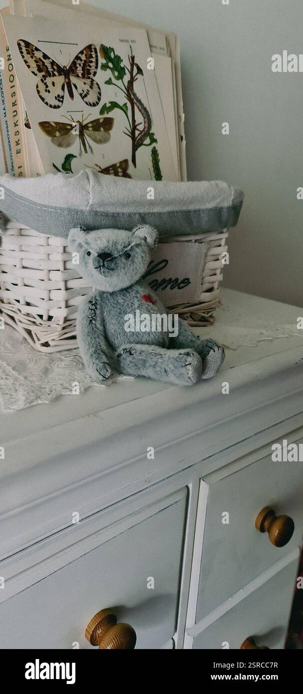 Grauer Teddybär, der auf dem scaf sitzt Stockfoto