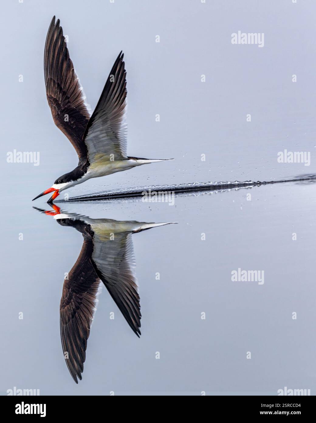 Leiser Lauf Stockfoto