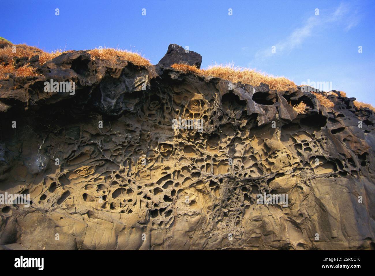 Felsenerosion auf See, Hareshwar, Maharashtra, Indien, Asien Stockfoto