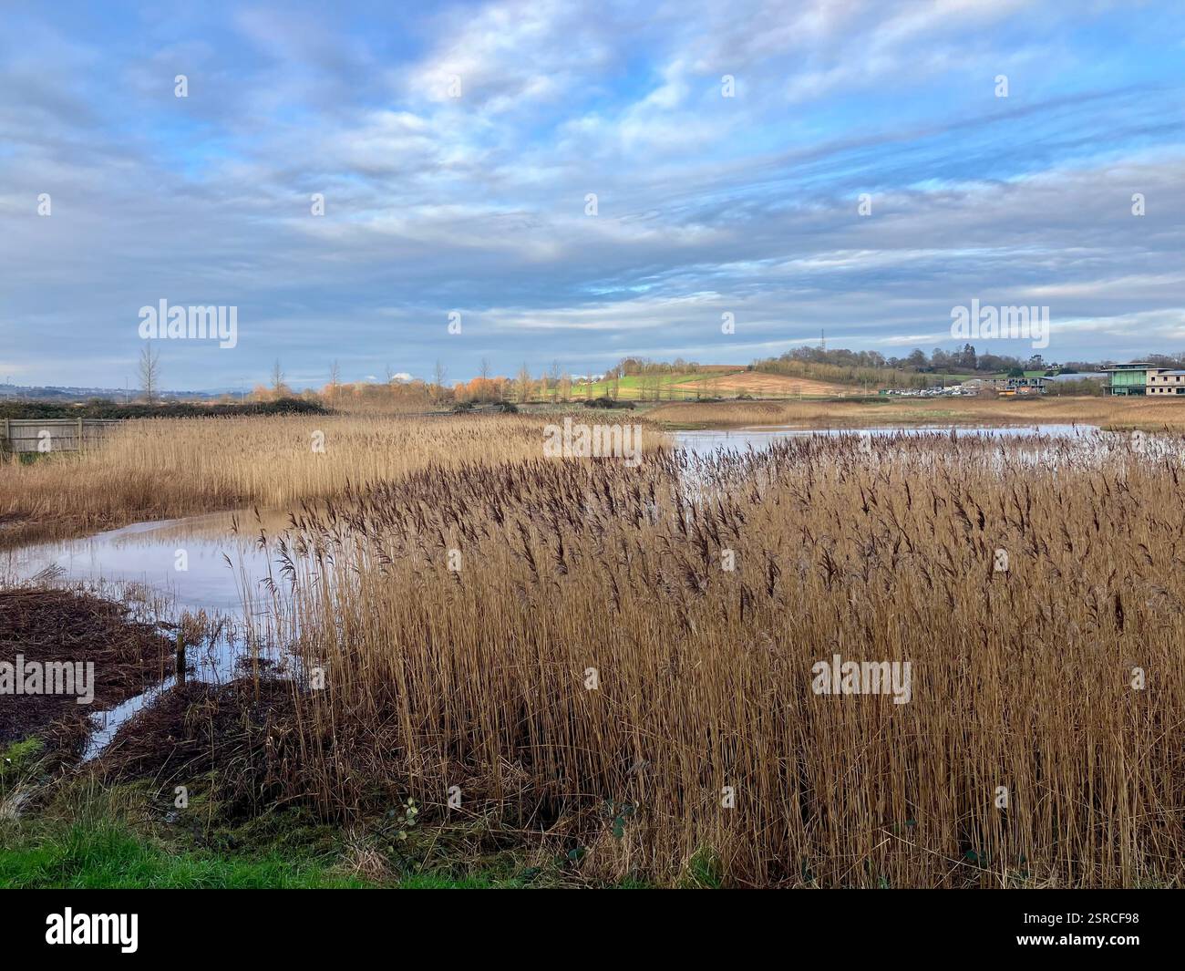 Vogelbeobachtung vom exe Valley Way: Der Fluss Clyst bei Topsham - Smartphone-aufgenommenes Stockfoto