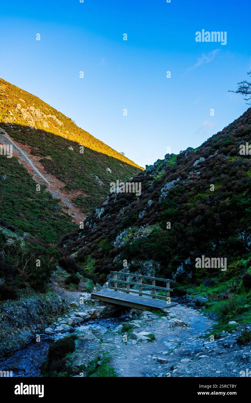 Hölzerne Fußgängerbrücke über den plappernden Fluss im Carding Mill Valley, Shropshire Hills - Ein malerischer Schnappschuss der ruhigen englischen Landschaft Stockfoto