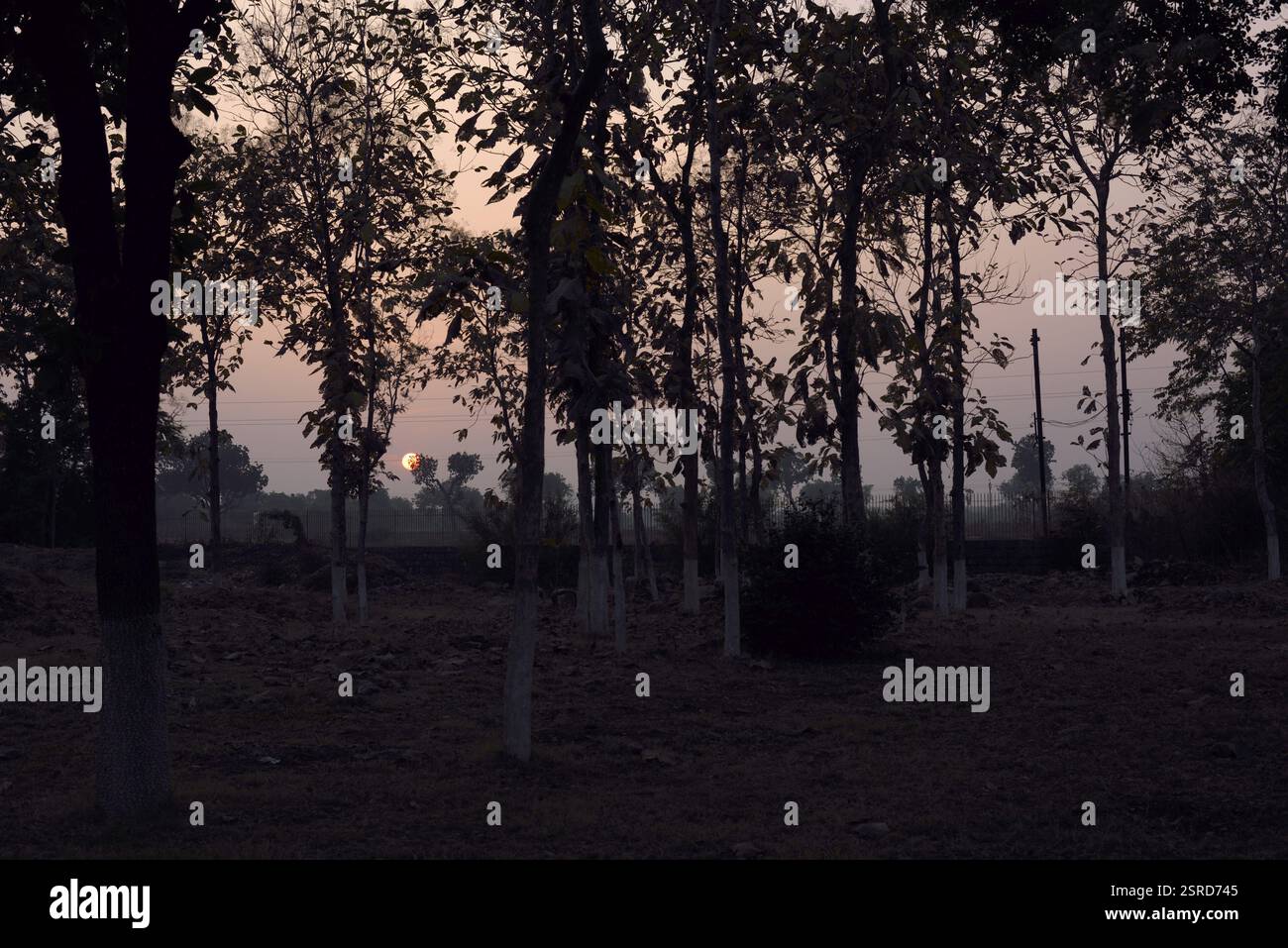 Sonnenuntergang hinter dem Kandariya mahadev Tempel khajuraho madhya pradesh Indien, Asien Stockfoto