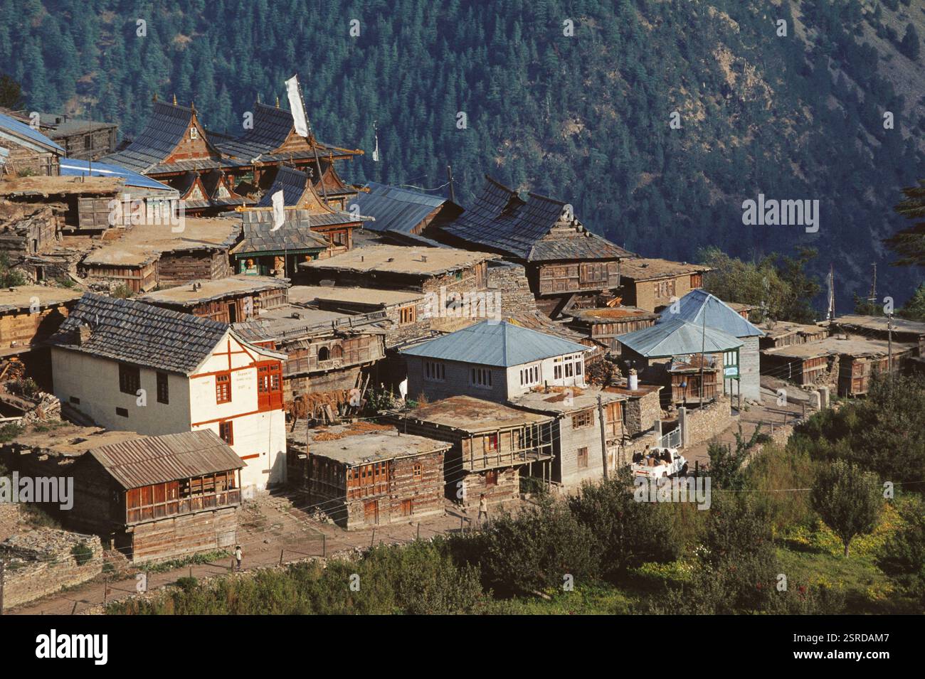 Alte Häuser, Kalpa, Himachal Pradesh, Indien, Asien Stockfoto