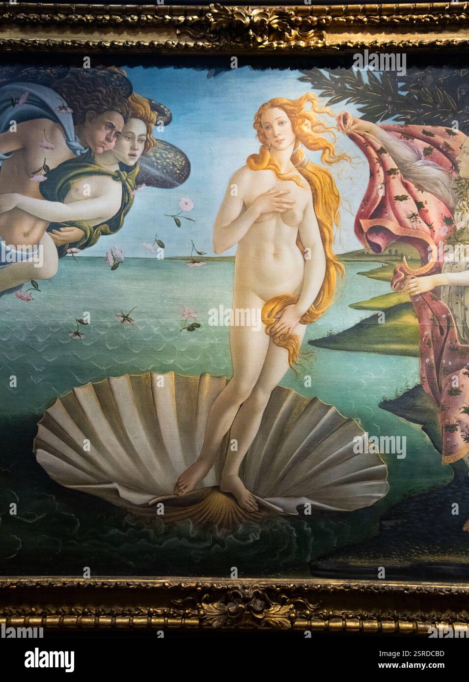 Die Geburt der Venus, Uffizien, Florenz, Italien Stockfoto