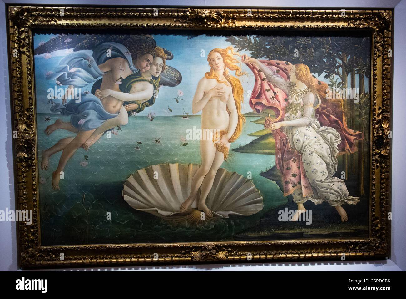 Die Geburt der Venus, Uffizien, Florenz, Italien Stockfoto