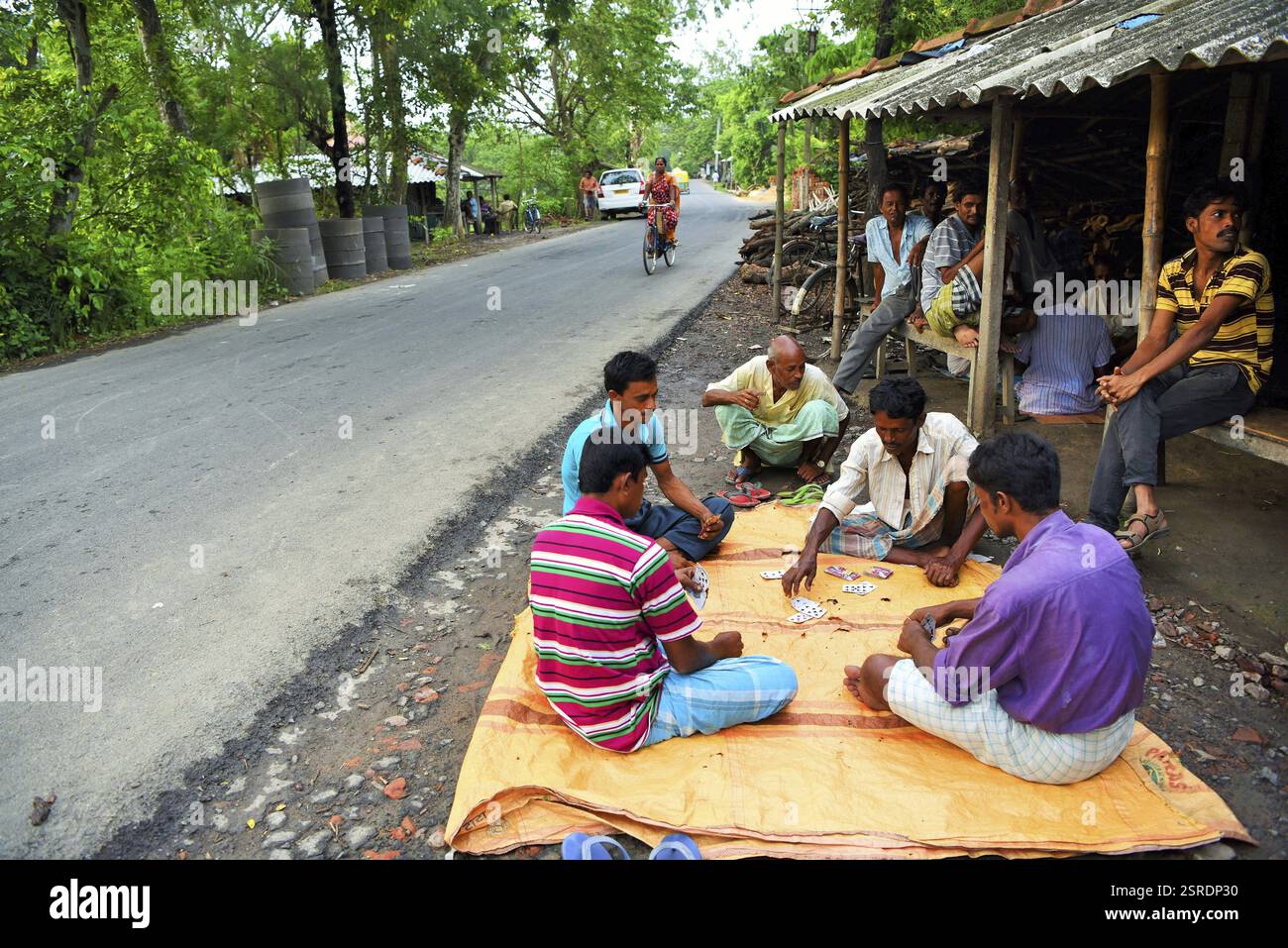 Leute, Karten, Herobhanga Dorf, Canning Bahnhof, West Bengal, Indien, Asien Stockfoto