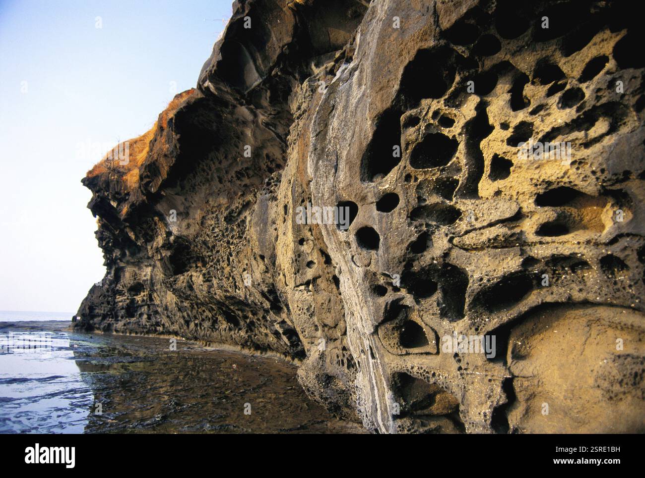 Felsenerosion auf See, Hareshwar, Maharashtra, Indien, Asien Stockfoto