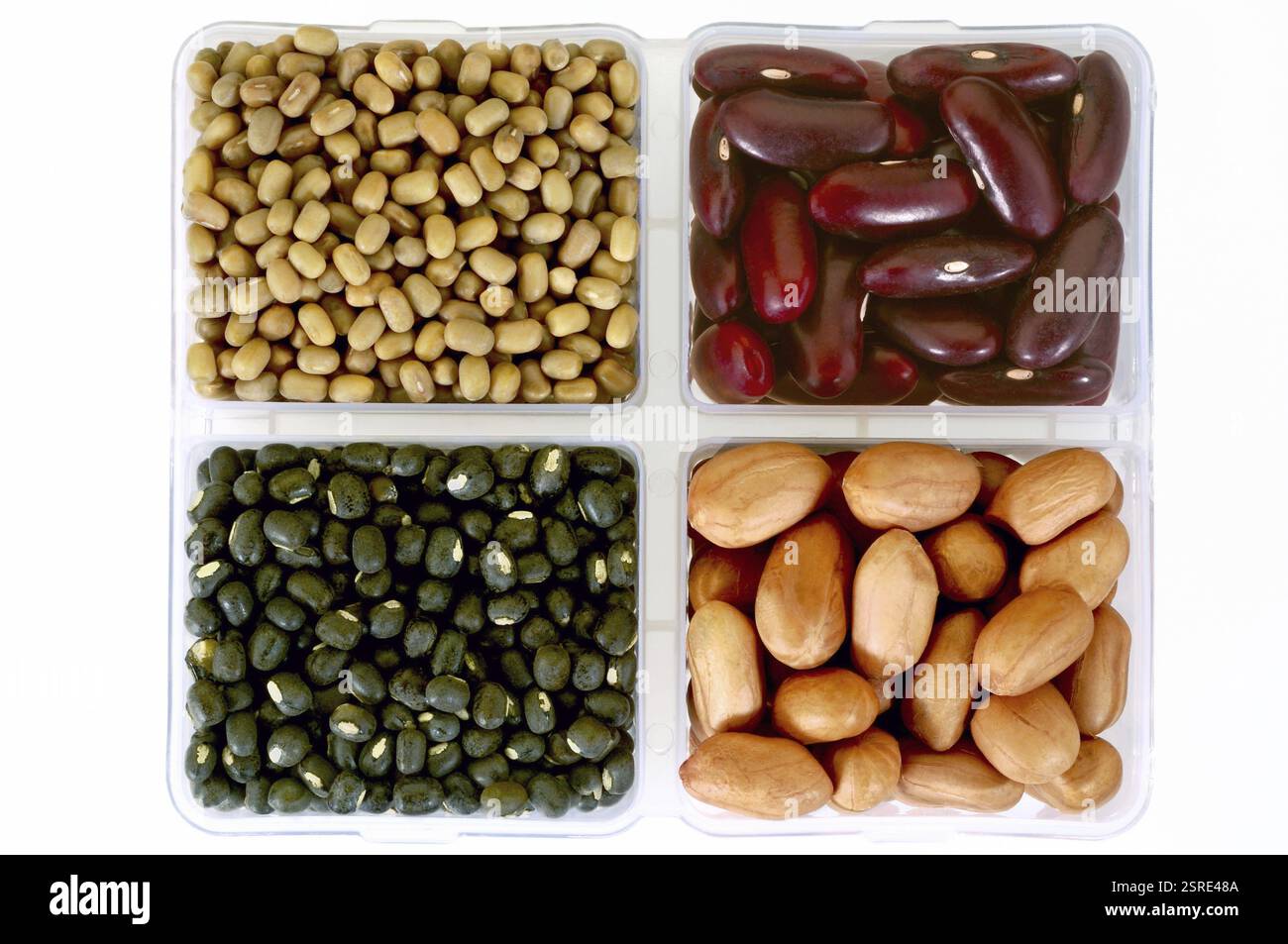 Pulses Moath-Bohnen, Kindey-Bohnen, schwarze Linsen und Erdnuss in quadratischem Gericht, Indien, Asien Stockfoto