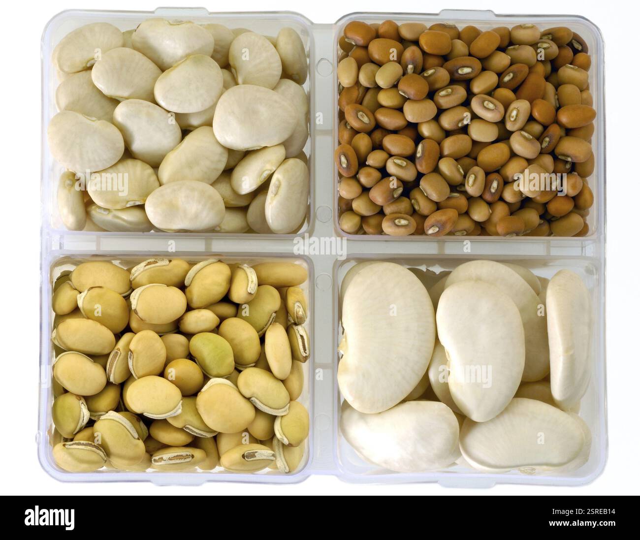 Pulses limabohnen braune Bohnen breite Bohnen gelbe Feldbohnen in quadratischer Schüssel, Indien, Asien Stockfoto