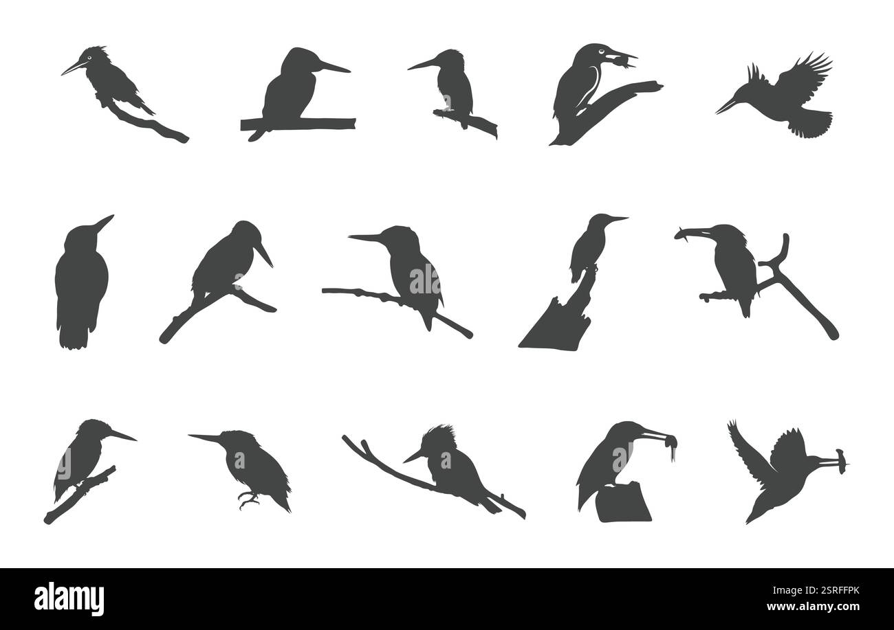 Eisvogel-Silhouette, Eisvogel-Vektoren, Eisvogel-Clipart, Eisvogel-Silhouette Stock Vektor