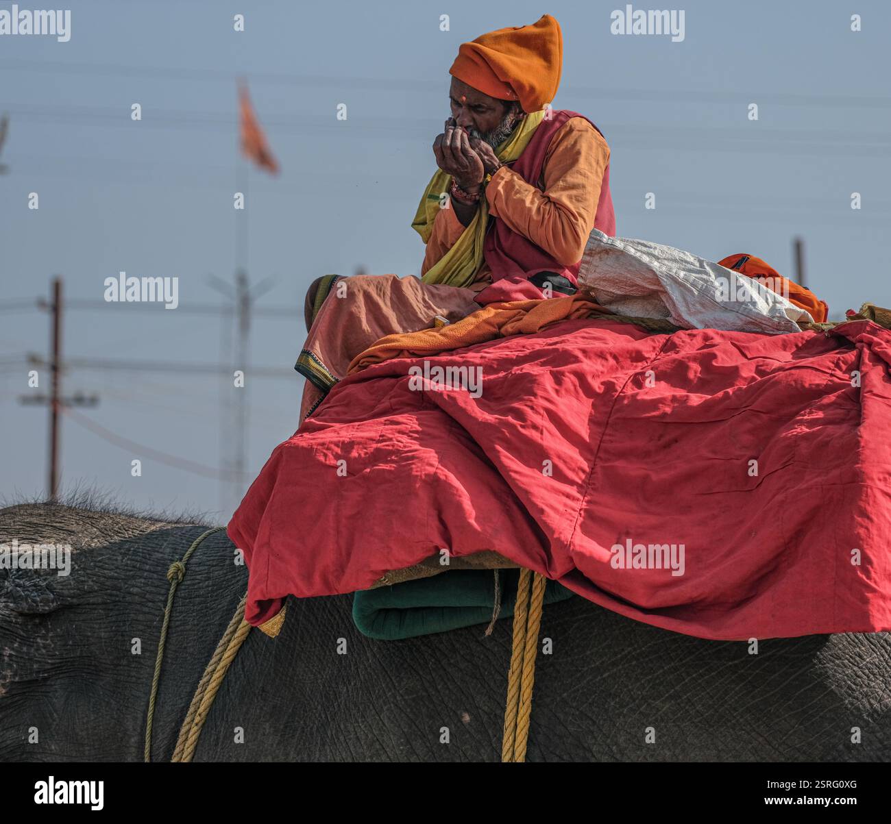 Ein hinduistischer Sadhu in traditioneller orangener Kleidung sitzt auf einem Elefanten und raucht während der Maha Kumbh Mela in Prayagraj, Indien, ein Chillum. Stockfoto