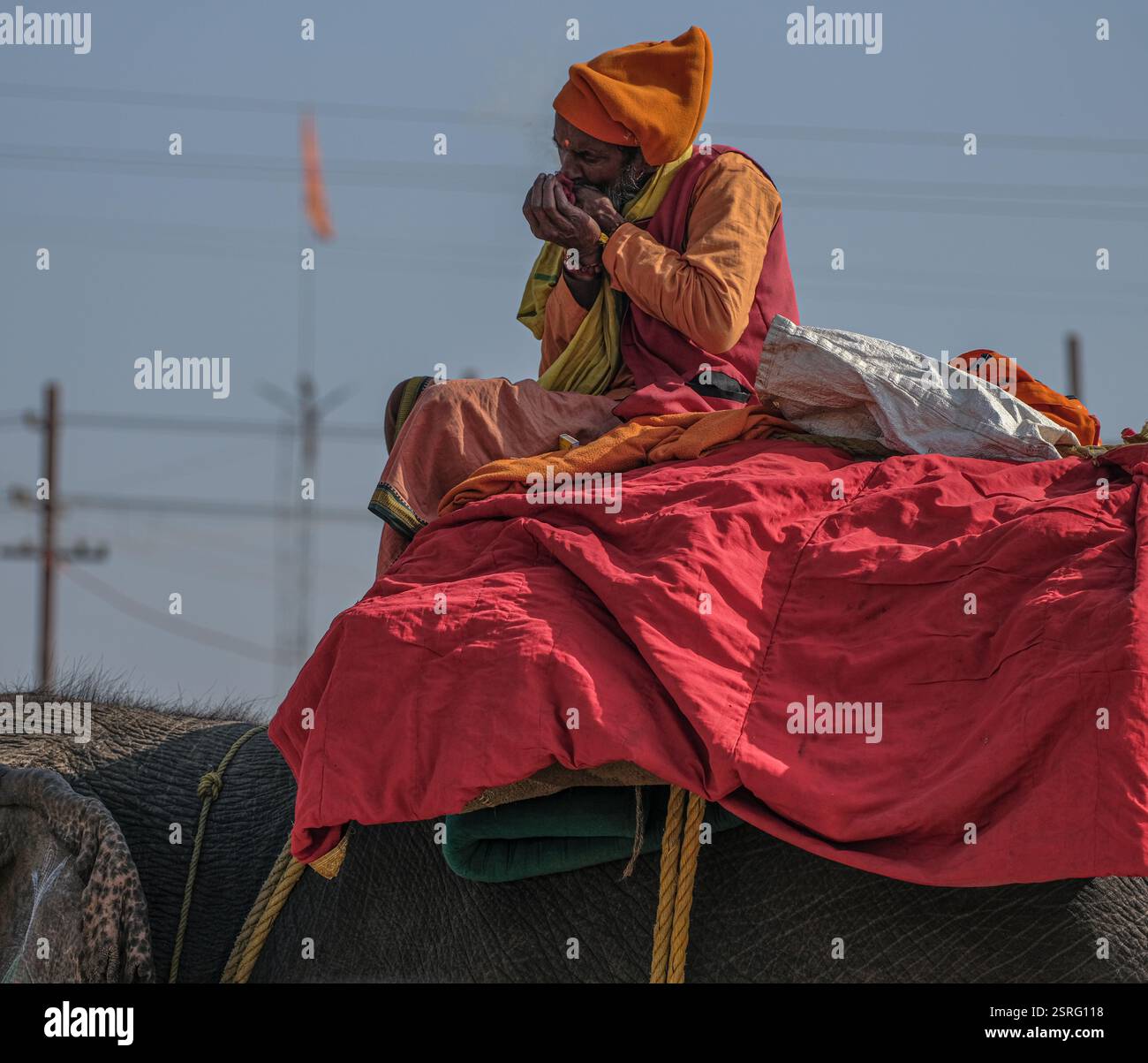 Ein hinduistischer Sadhu in traditioneller orangener Kleidung sitzt auf einem Elefanten und raucht während der Maha Kumbh Mela in Prayagraj, Indien, ein Chillum. Stockfoto
