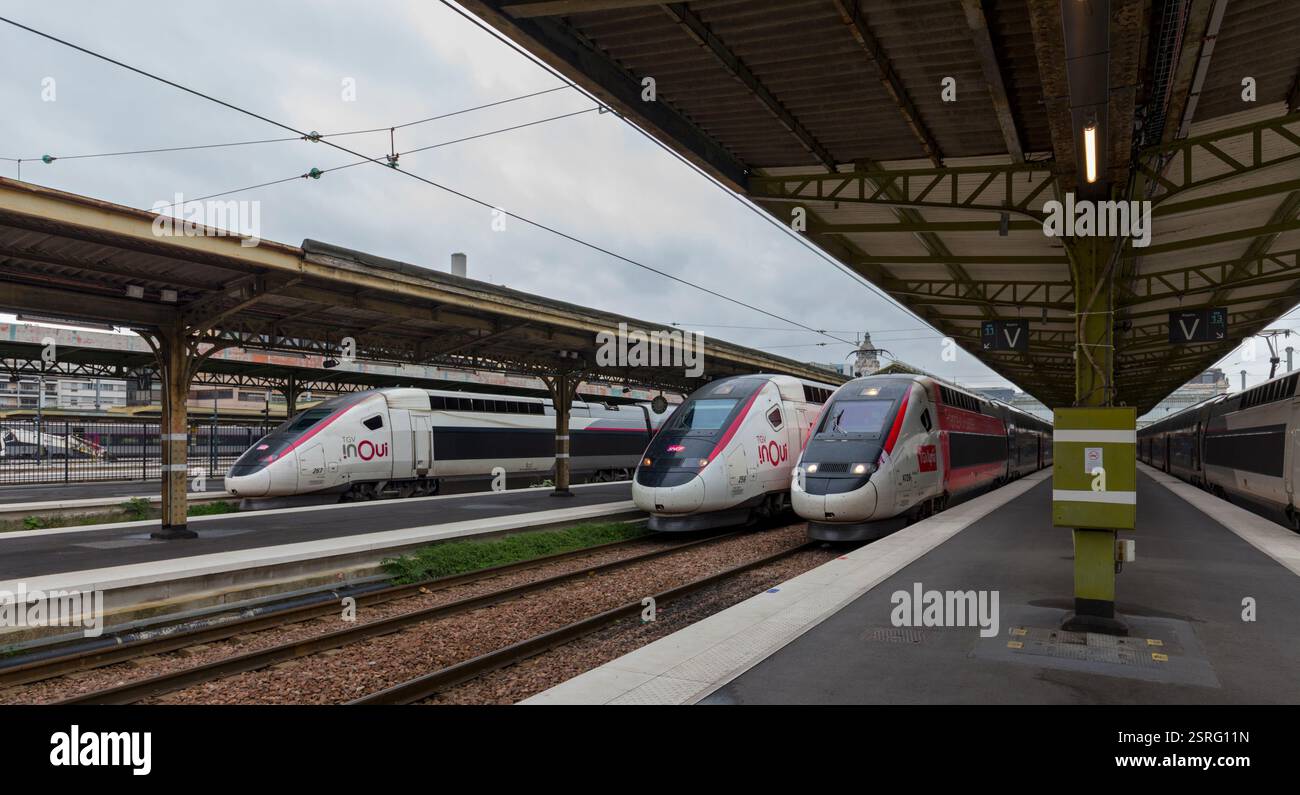 SNCF Train A grande vitesse ( TGV ) Züge am Bahnhof Paris Lyon, Frankreich, rechts ist ein TGV Lyria Euroduplex Set aus der Schweiz Stockfoto