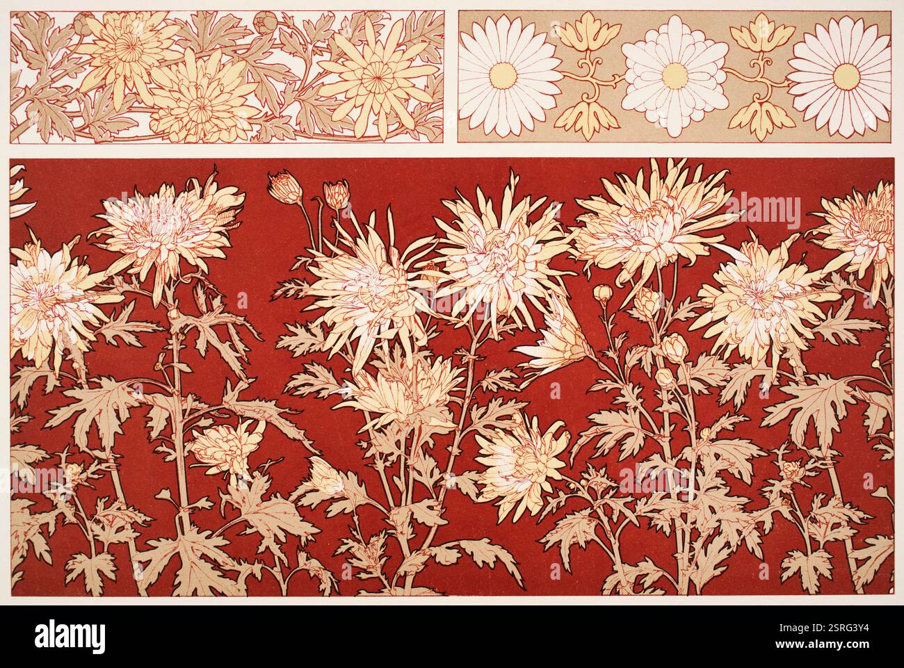 Friese mit Chrystanthemum bluten (Frieze mit Chrystanthemum Bleed), Grafikdesign des Künstlers Adolph Friedrich Erdmann, von Menzel aus Decorative vor Stockfoto