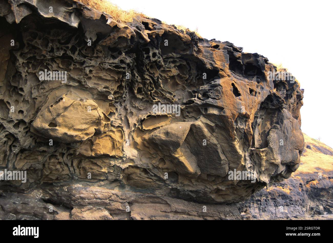 Felsenerosion auf See, Hareshwar, Maharashtra, Indien, Asien Stockfoto