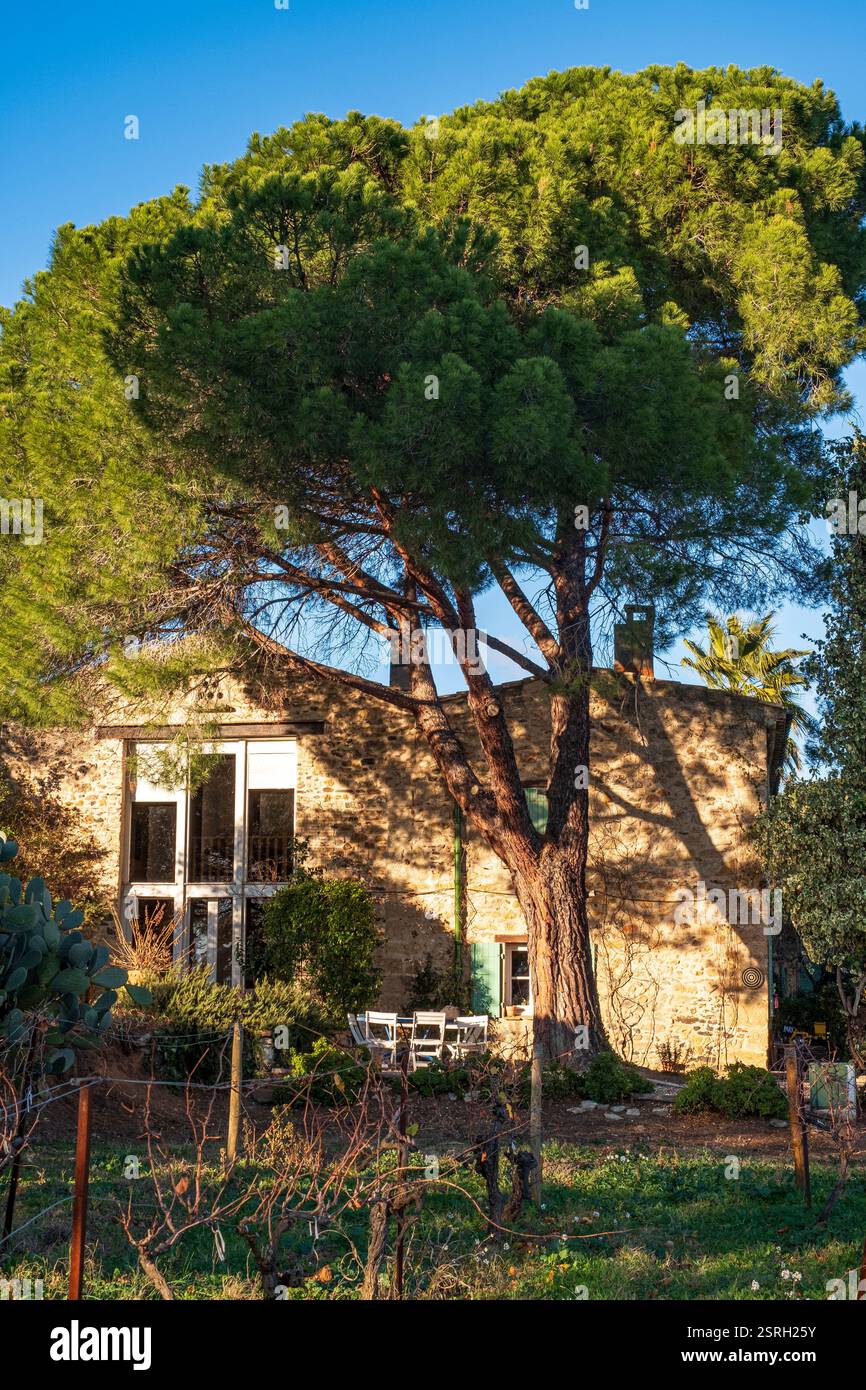 Ein charmantes Steinhaus in Pezenas, Frankreich, eingebettet im Herzen von Occitanie, zeigt die lebendige Weinkultur der Region. Stockfoto Ein charmantes Steinhaus in Pezenas, Frankreich, eingebettet im Herzen von Occitanie, zeigt die lebendige Weinkultur der Region. Stockfoto