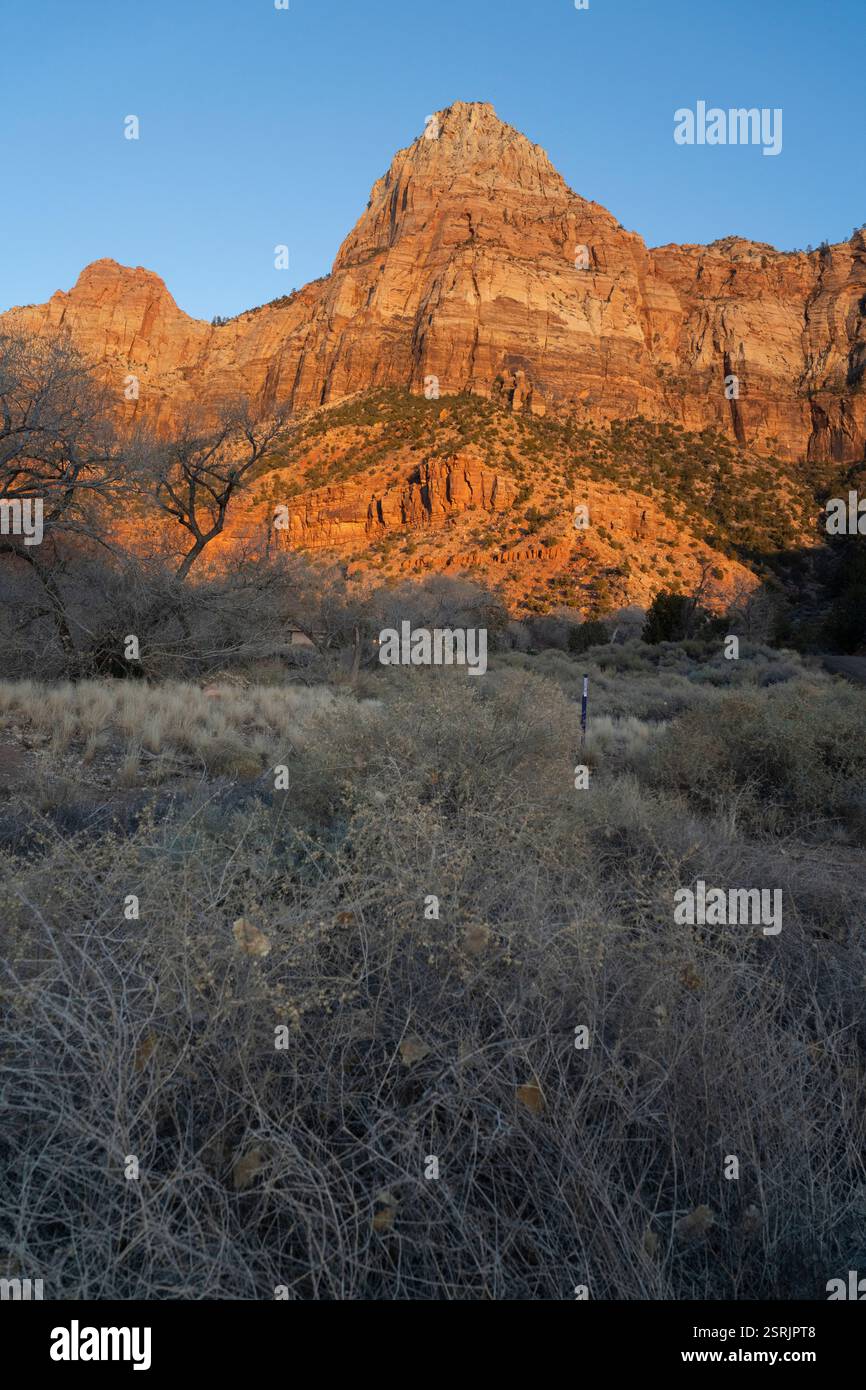 Sonnenaufgang über Angels Landing, Zion National Park, Utah. Bunte Sandsteinklippen, Wüstenlandschaft. Stockfoto