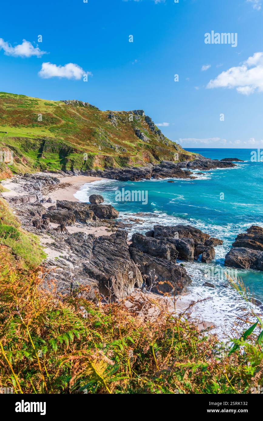 South West Coast Path, Mattiscombe Sands, Devon, England, Vereinigtes Königreich, Europa Stockfoto
