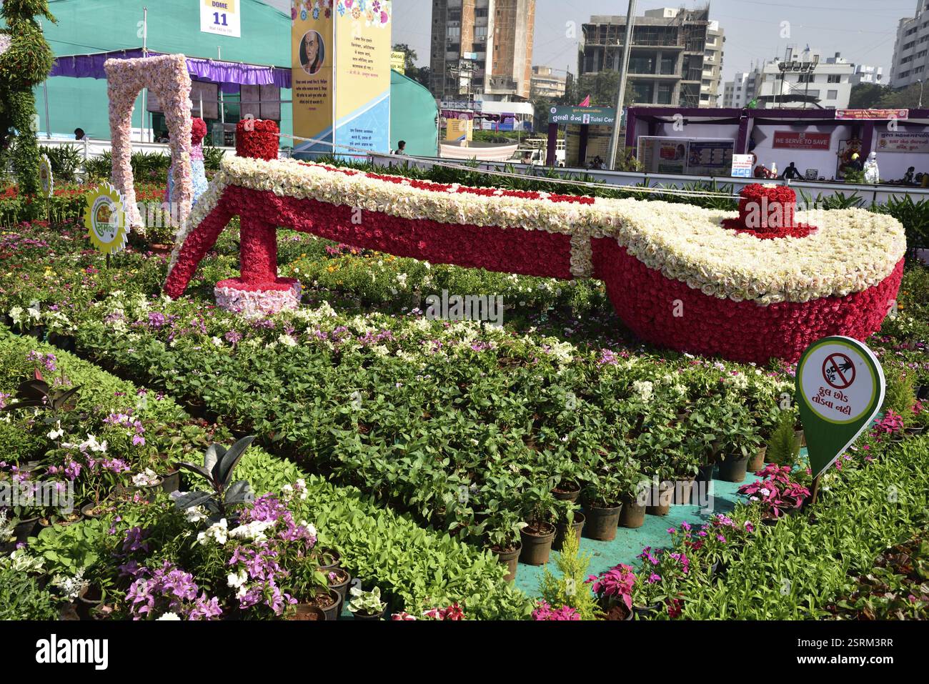 Sitar mit Blumen, Blumengarten, Surat, Gujarat, Indien, Asien Stockfoto