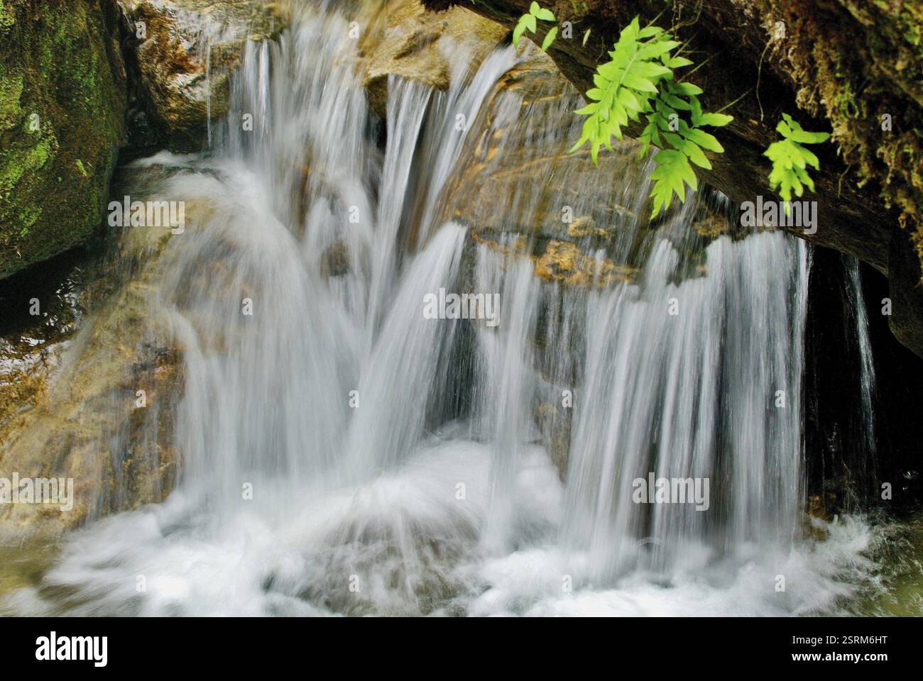 Teil des Twin-Wasserfalls, Chungthang, Nord-Sikkim, Indien, Asien Stockfoto