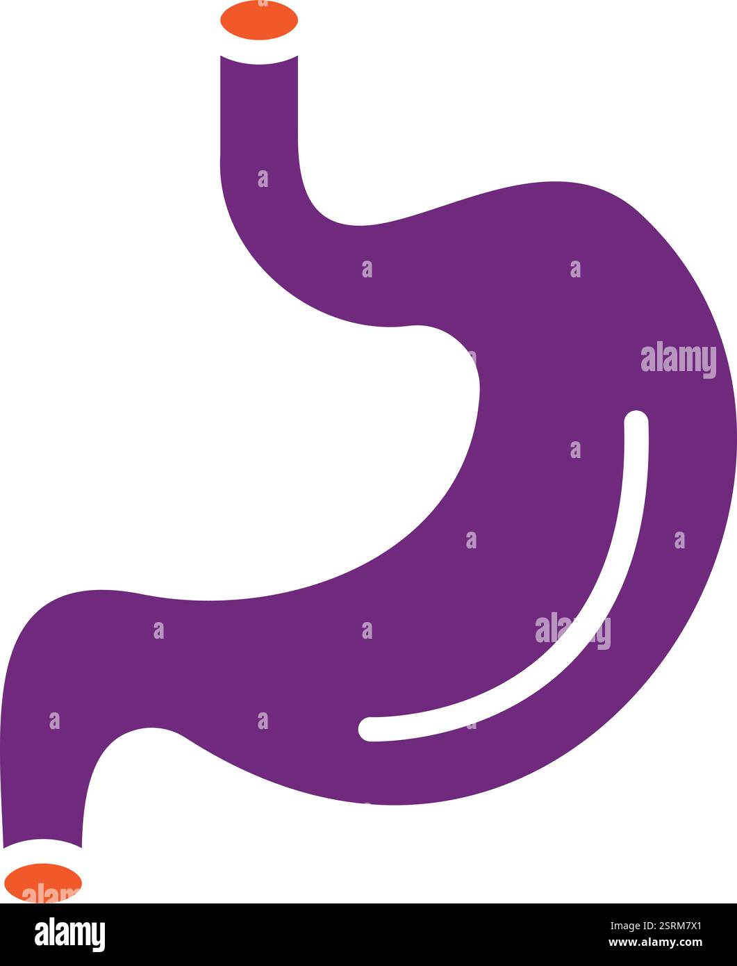 Illustration Des Magen Vektor-Symbols Stock Vektor