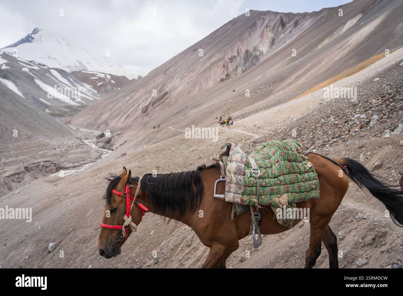 Mit Fracht beladenes Pferd, das vom Berg mit Schnee im Hintergrund absteigt, Pamir-Berge, Kirgisistan Stockfoto