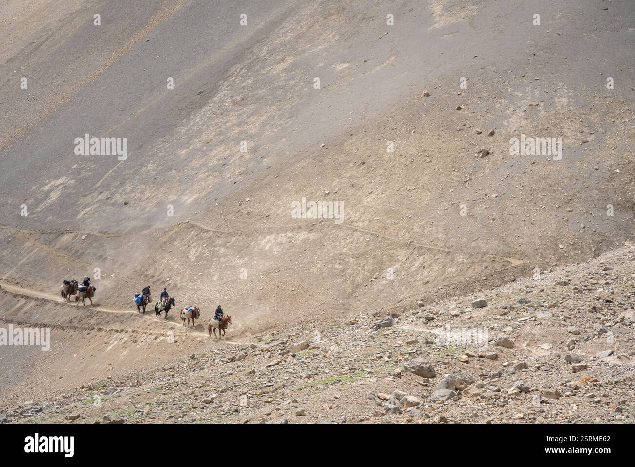 Reiter mit Lastenpferden durchqueren trockenes, staubiges bergiges Gelände, Pamir-Berge, Kirgisistan Stockfoto