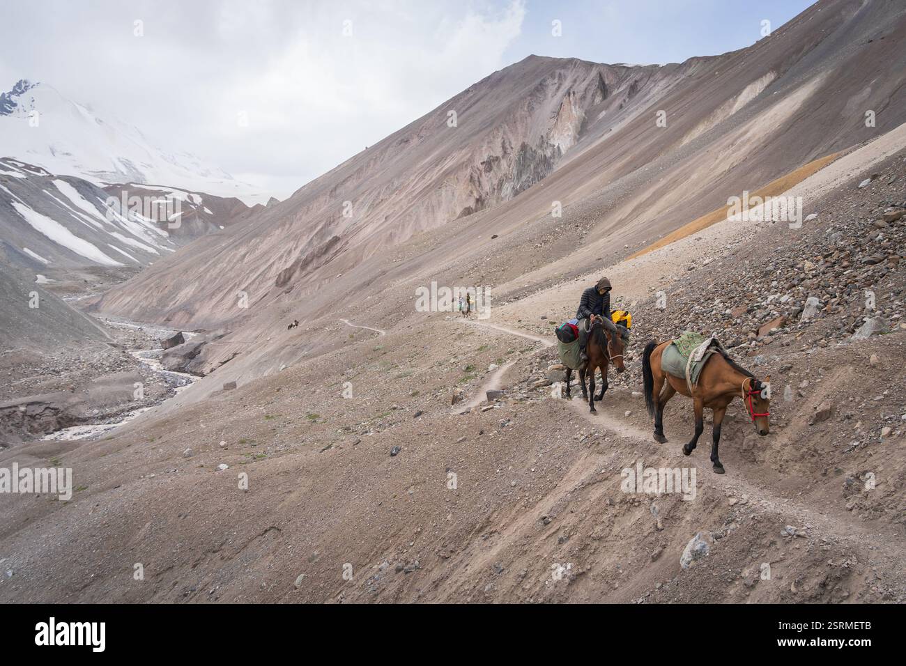 Pferde beladen mit Fracht, die auf der Seite des Berges laufen, Pamir Berge, Kirgisistan Stockfoto