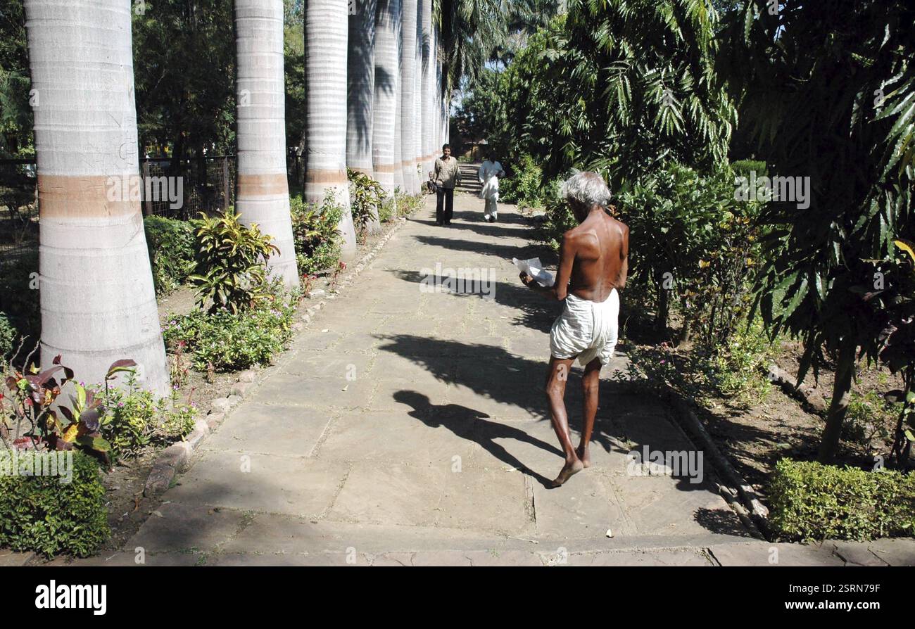 Mann im Garten, bhopal, madhya pradesh, Indien, Asien Stockfoto