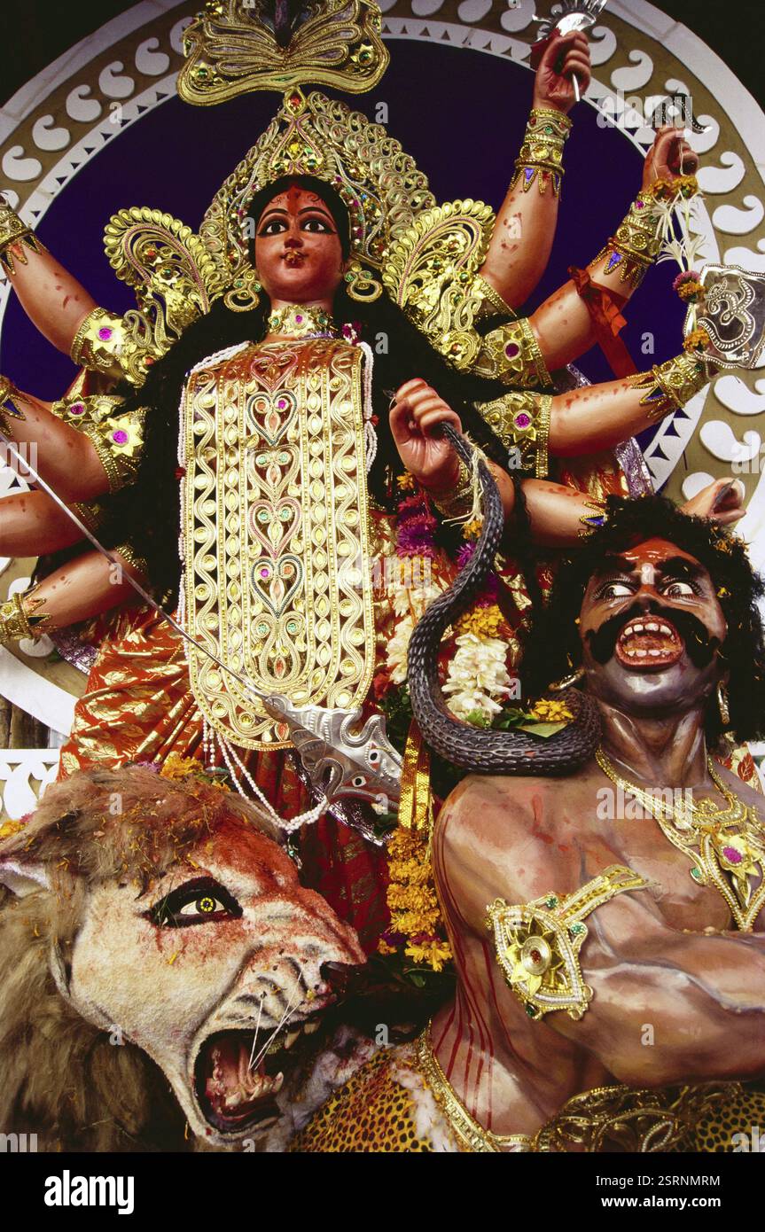 Durga Puja Festival, Göttin Idol auf Löwen montiert Dämon töten, Dadar, Bombay Mumbai, Maharashtra, Indien, Asien Stockfoto