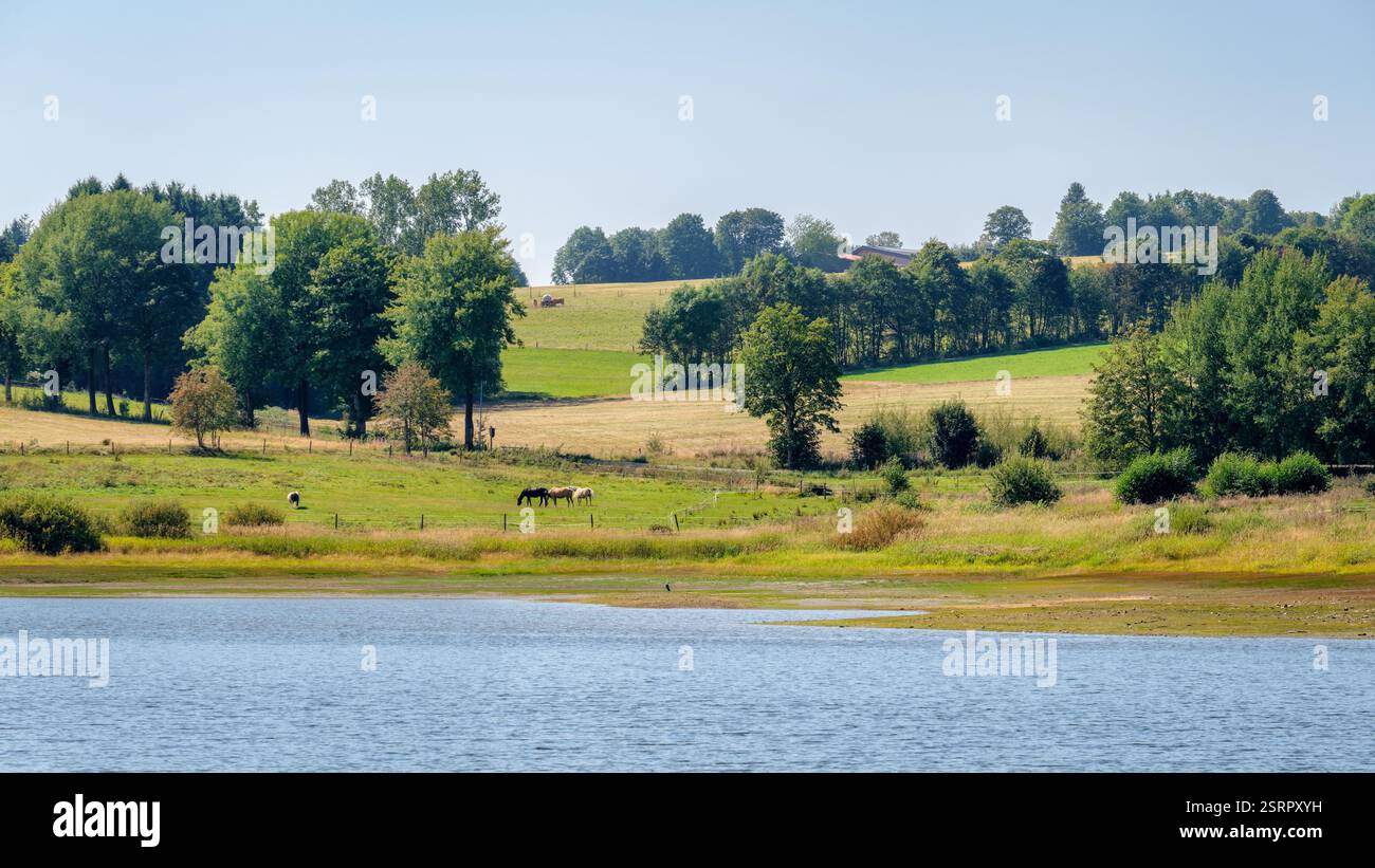 Blick auf den Stadtweger Teich oder den Stadtweger Stausee an einem Sommertag im August. Er liegt bei Clausthal-Zellerfeld auf dem Oberharzer Hochplateau. Stockfoto