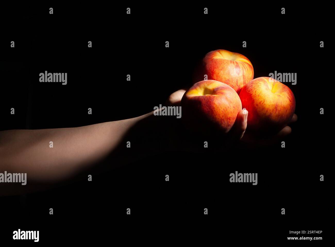 Pfirsiche in der Hand auf schwarzem Hintergrund Stockfoto
