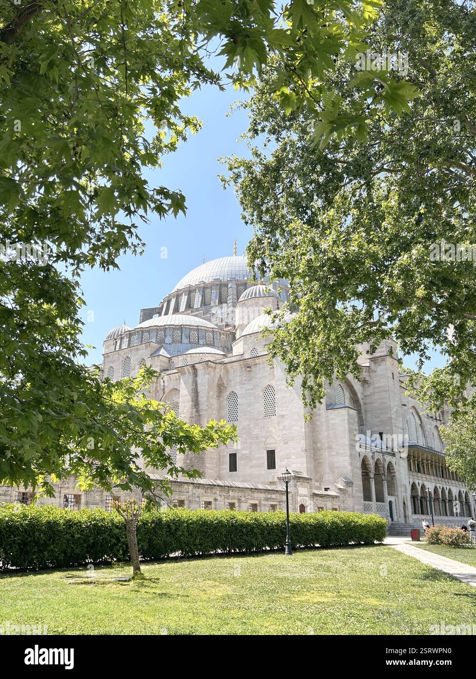 Blick auf die Süleyman-Moschee durch Bäume | Istanbul, Türkei Stockfoto