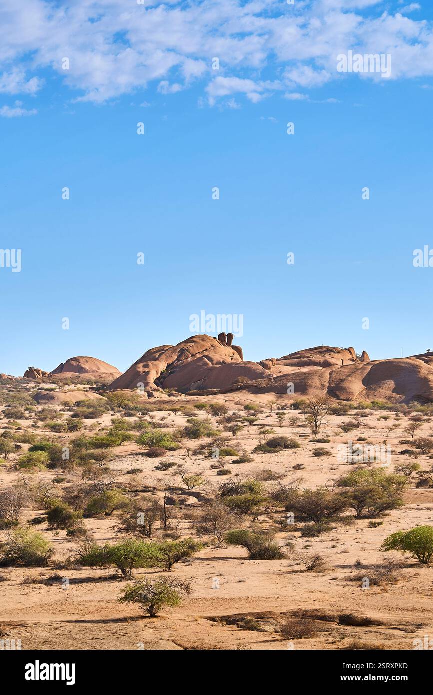 Einzigartige Granitfelsen, die menschlichen Figuren ähneln und über dem Rand des Wüstenhimmels unter einem blauen Himmel in Spitzkoppe, Namibia, Afrika lauern. Stockfoto