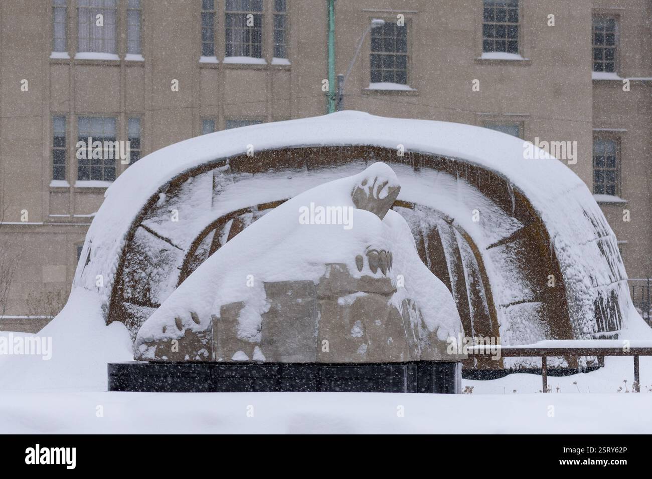 Schildkrötenskulptur im Spirit Garden, Nathan Phillips Square, Toronto, Kanada Stockfoto