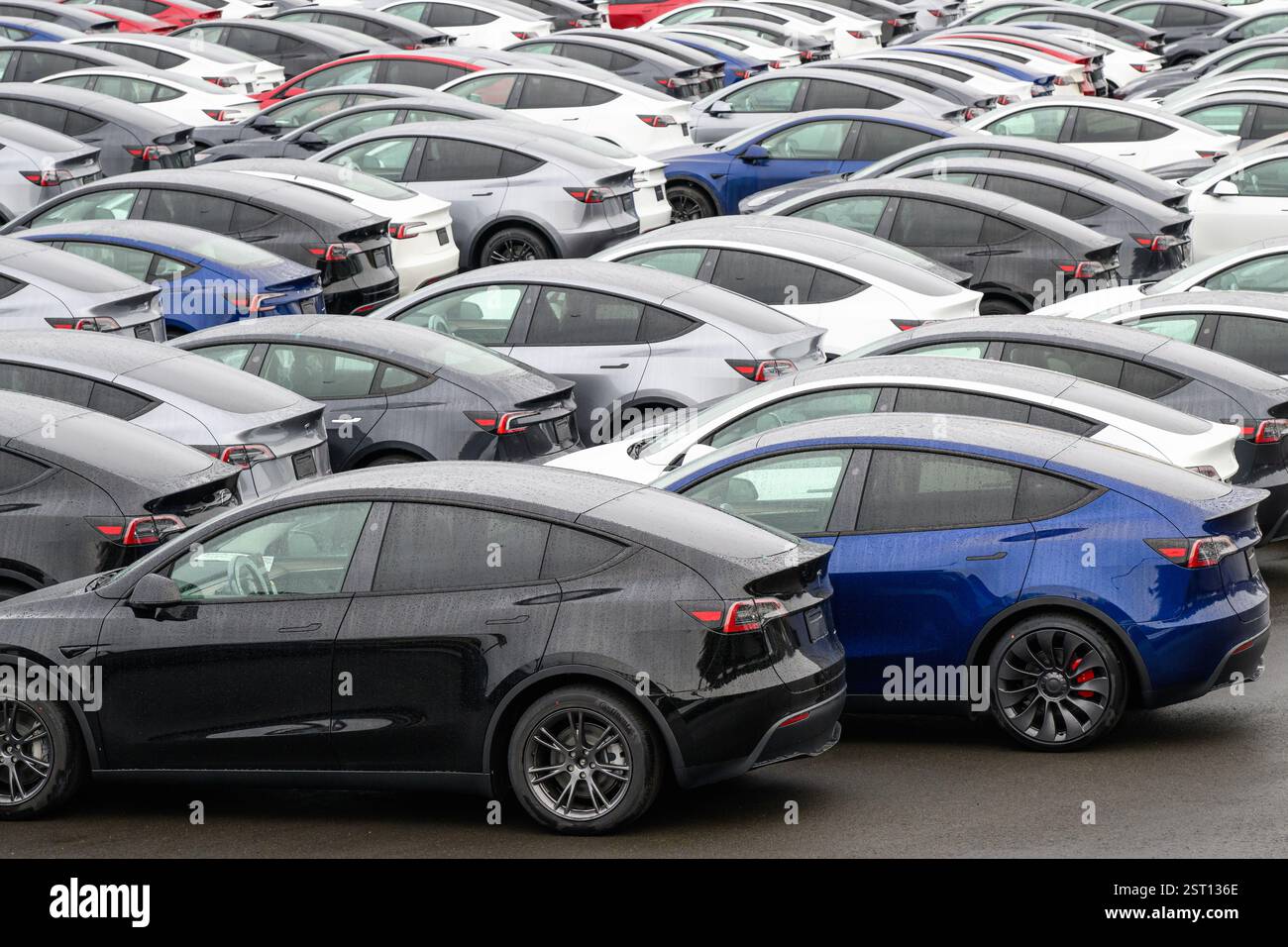 Seattle - 16. Februar 2025; Parkplatz für neue Tesla Elektroautos bei nassem Wetter Stockfoto