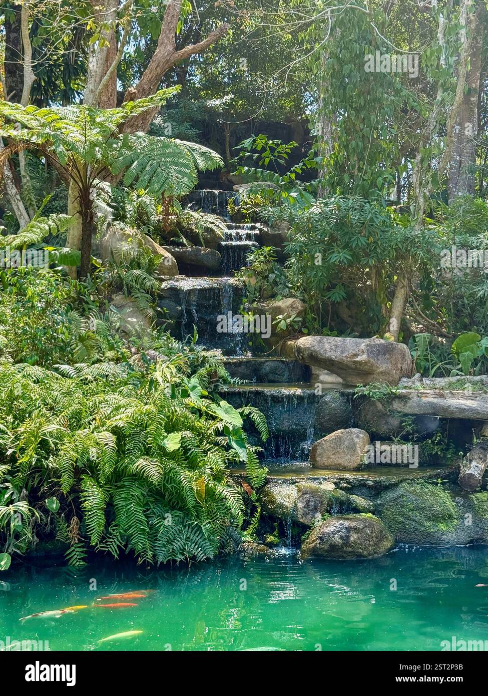 Türkisfarbener Teich mit Koi-Fisch und Wasserfall umgeben von üppiger Vegetation Ein ruhiger türkisfarbener Teich mit Koi-Fischen im Vordergrund - Smartphone-aufgenommenes Stockfoto