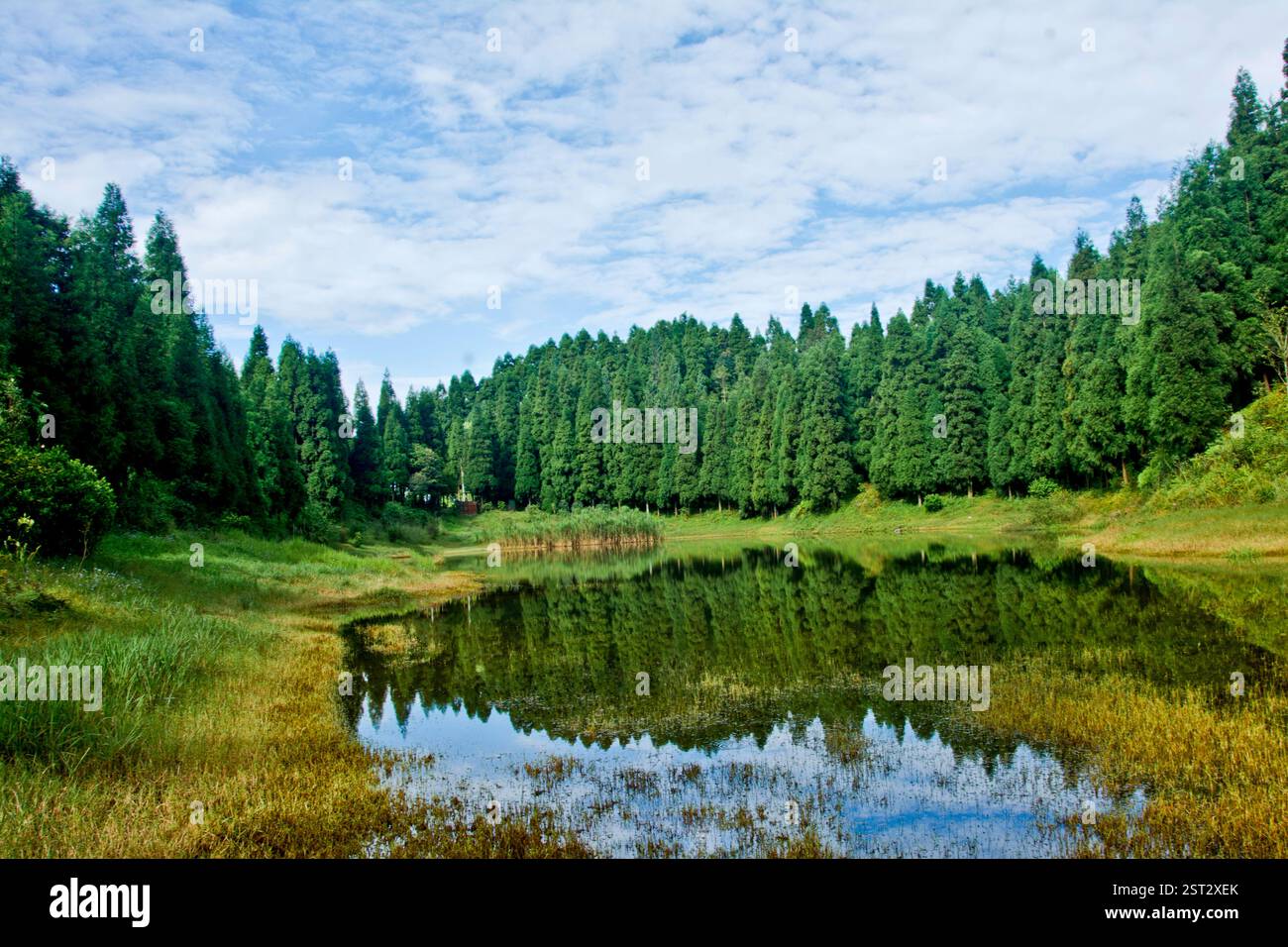 Stiller See und seine Reflexionen. Stockfoto