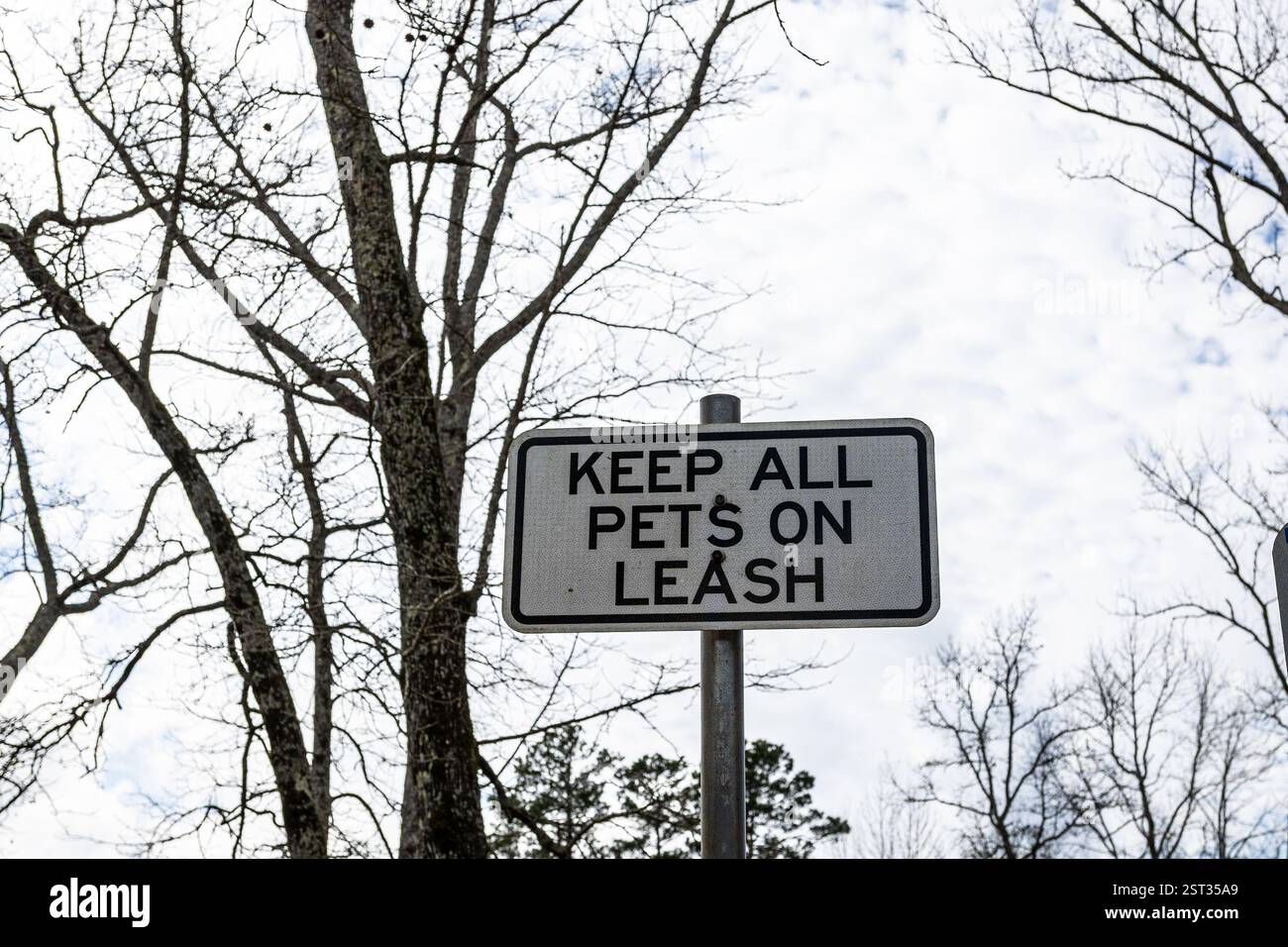 Halten Sie Haustiere an der Leine am Cass County Safety Rest Stop. Stockfoto