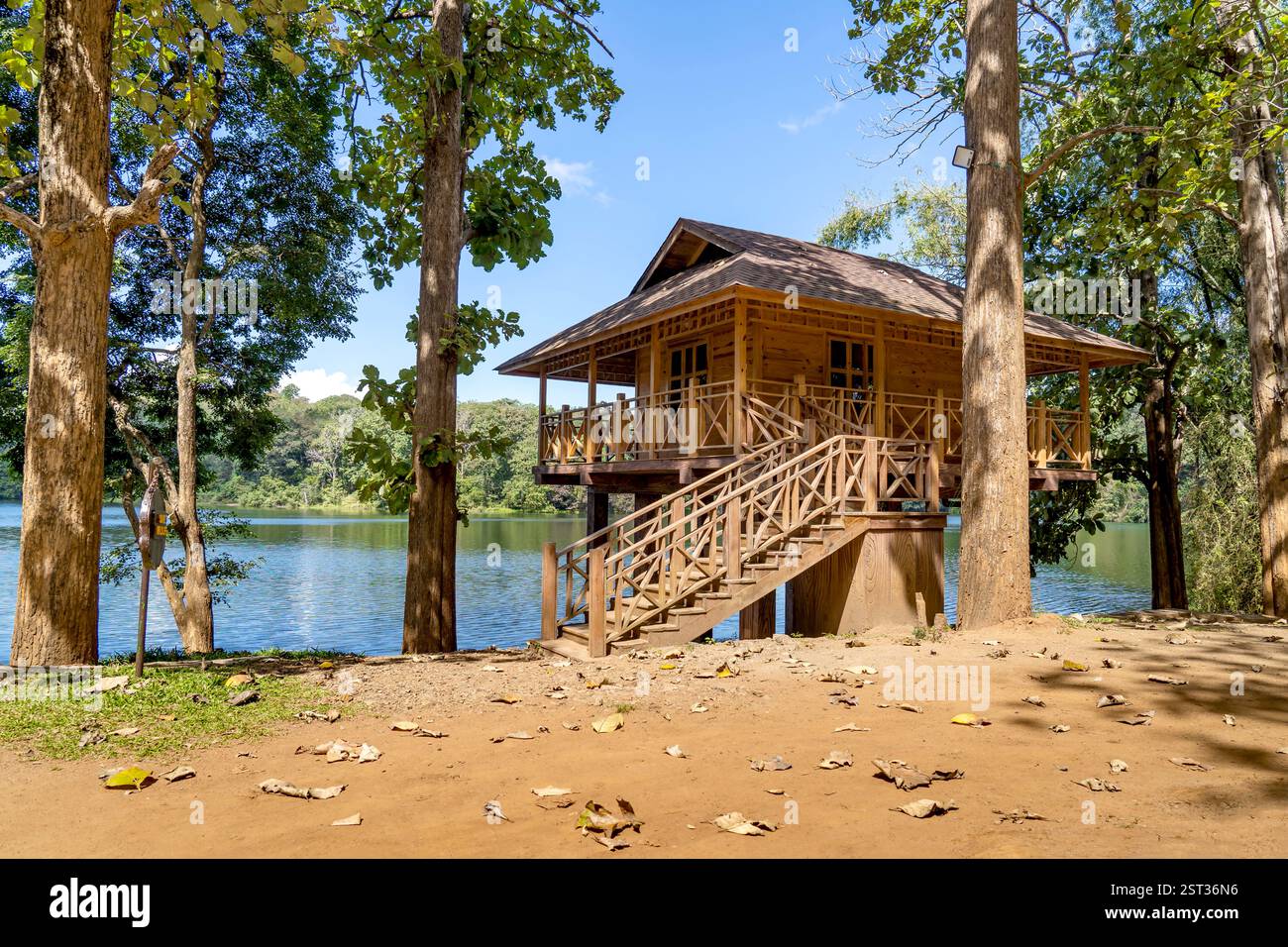 Parambikulam Tiger Reserve, das auch das ehemalige Wildlife Sanctuary umfasst, liegt im Bezirk Palakkad und im Bezirk Thrissur von Kerala. Stockfoto