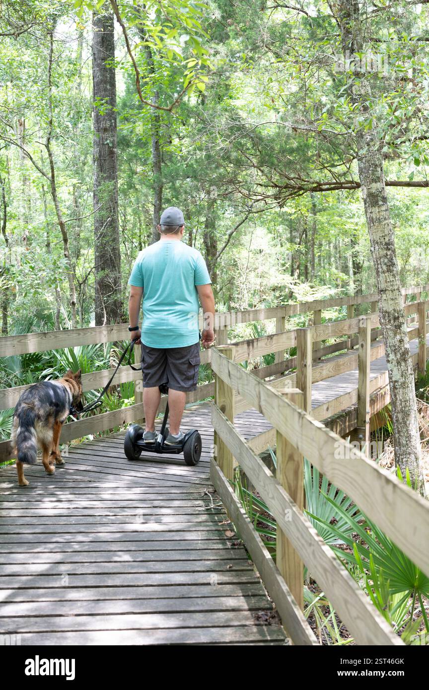 Mann auf Hoverboard, der seinen Hund entlang einer hölzernen Promenade in der Natur führt Stockfoto