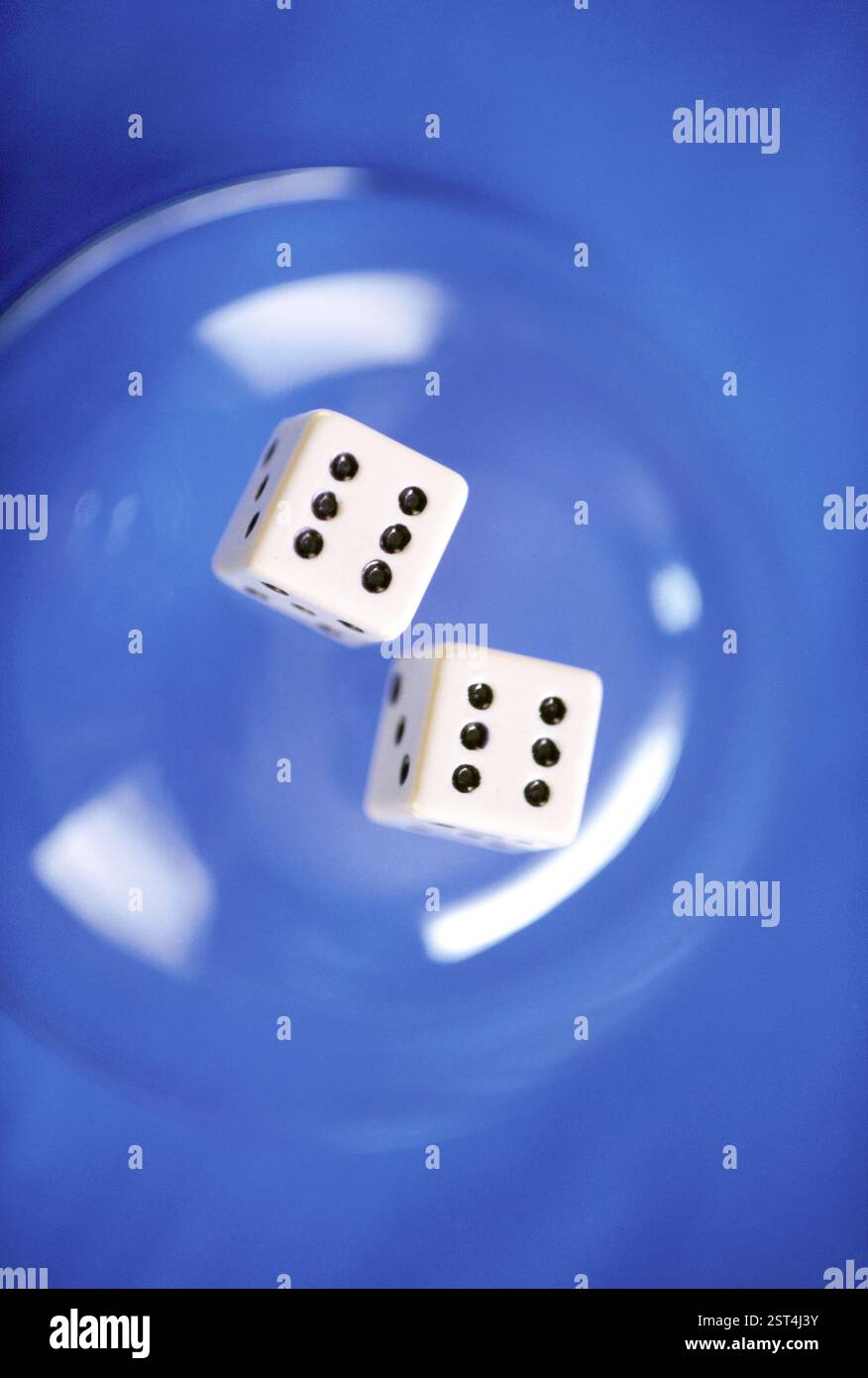 Punkt von Dot com, Würfel auf blauem Hintergrund Stockfoto